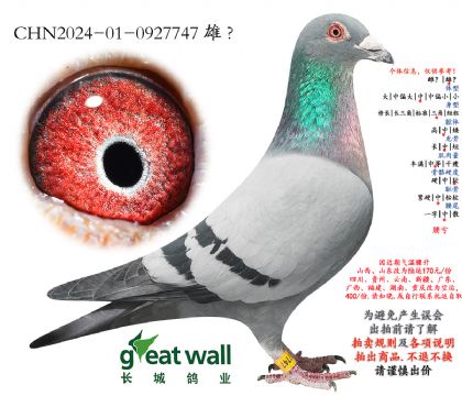 20.ͼ��˹003���.0927747