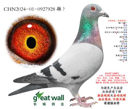 19.�¿��������.0927928