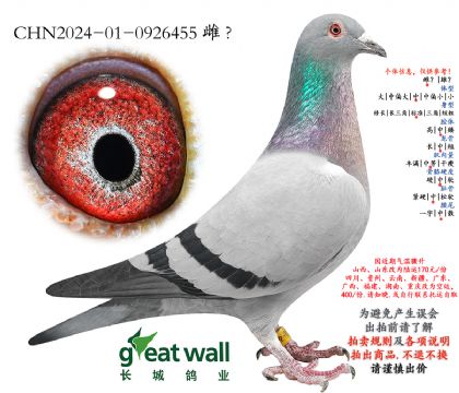 2.����˹xͼ��˹.0926455