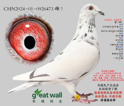 1.ͼ��˹x����ҫ��.0926473