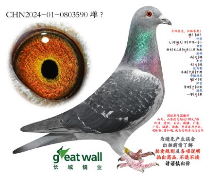 4.С����445���.0803590