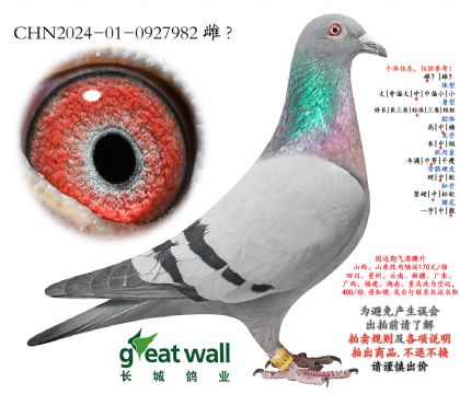 6.�ٸ�԰29���Ӵ�.0927982