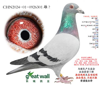 5.�¿����˽�Ѫ.0926301