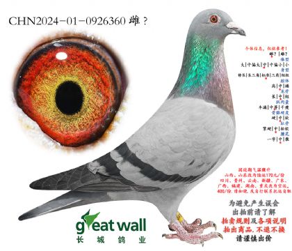 7.����Ѫϵ.0926360