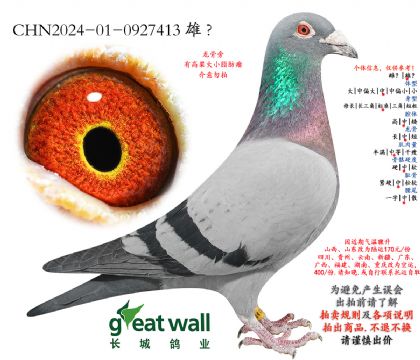 8.������xͼ��˹.0927413