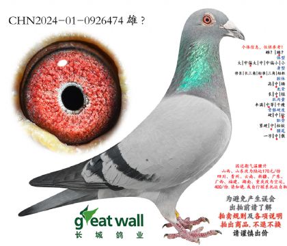 9.���������.0926474