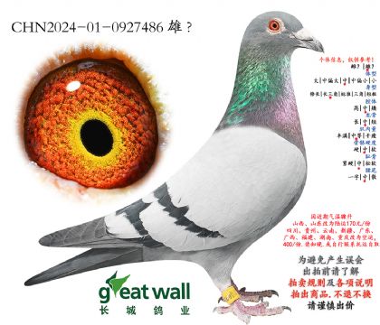 11.������7��ȫƽ��.0927486