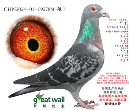 10.ͼ��˹��Ѫ.0927846