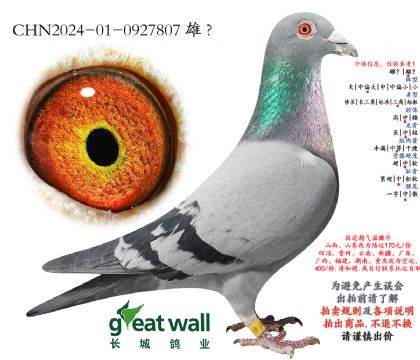 12.���������.0927807