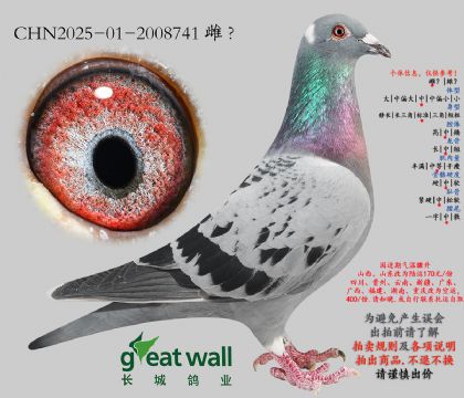 13.ͼ��˹003���.2008741