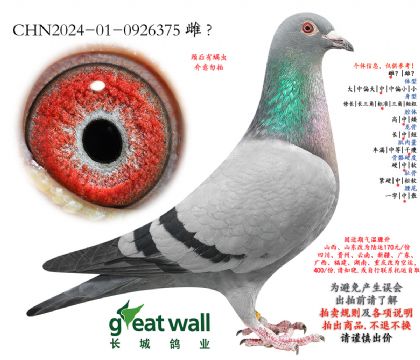 15.�ڳ����ظ����ھ��Ӵ�.0926375