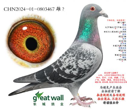 16.ղ��˹801x��ȱ��.0803467