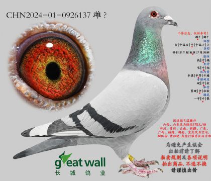 14.���޿������.0926137