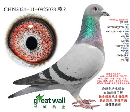 18.���ⳬ�ٹھ��Ӵ�.0925078