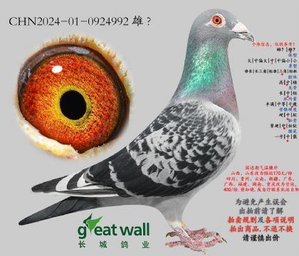 20.ͼ��˹005�Ӵ�.0924992