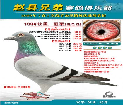 ǧ����ھ������չ飩