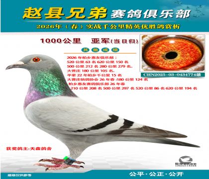 ǧ�����Ǿ������չ飩