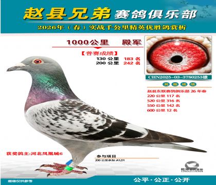 ǧ����4��