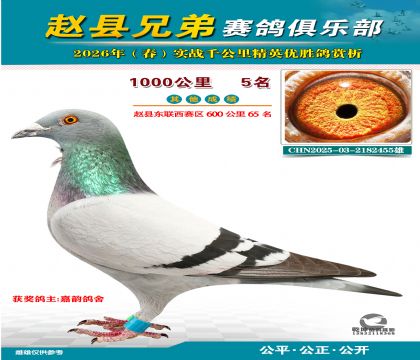 ǧ����5��