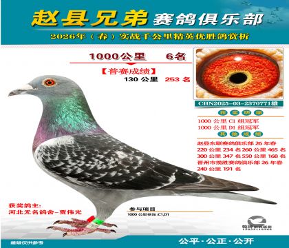 ǧ����6��