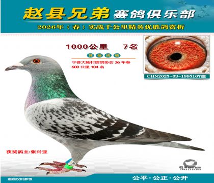 ǧ����7��