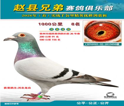 ǧ����8��