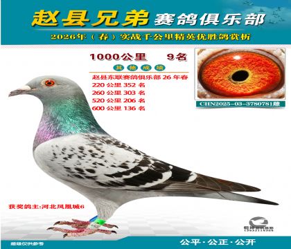 ǧ����9��