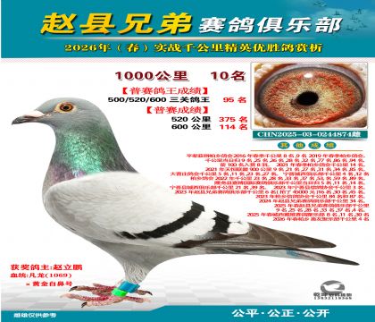 ǧ����10��