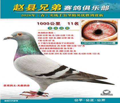 ǧ����11��