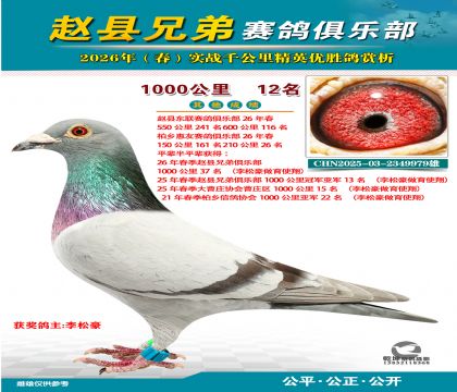 ǧ����12��