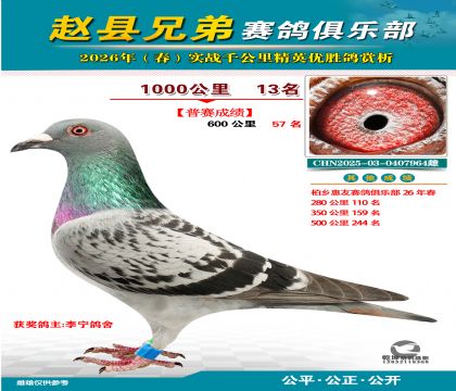 ǧ����13��