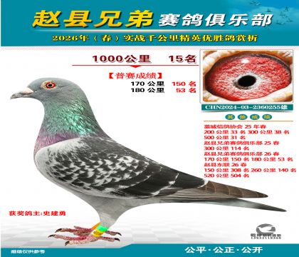 ǧ����15��