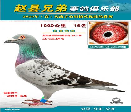 ǧ����16��