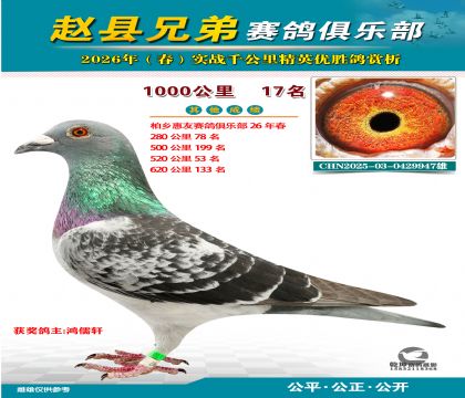 ǧ����17��