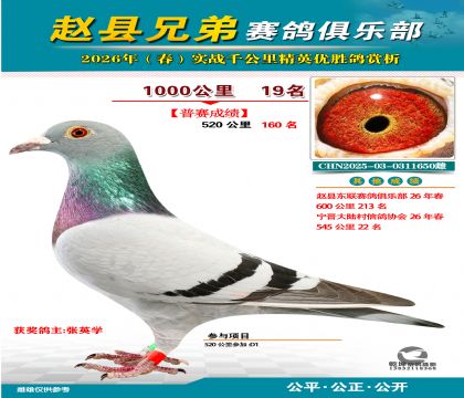 ǧ����19��