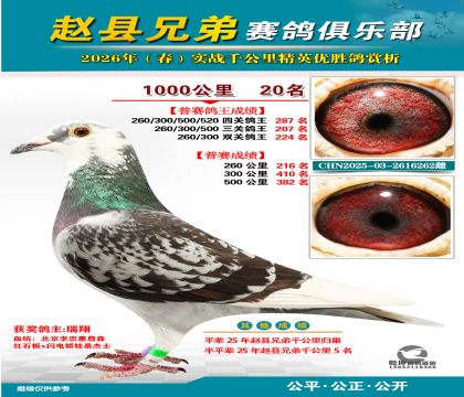 ǧ����20��