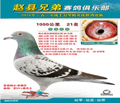 ǧ����21��