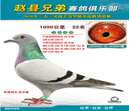 ǧ����22��