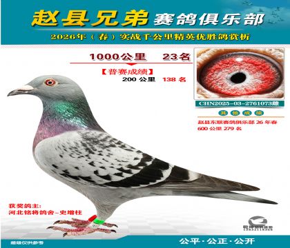 ǧ����23��