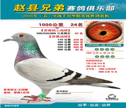 ǧ����24��