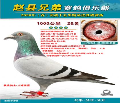 ǧ����26��