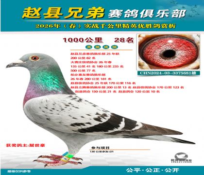 ǧ����28��