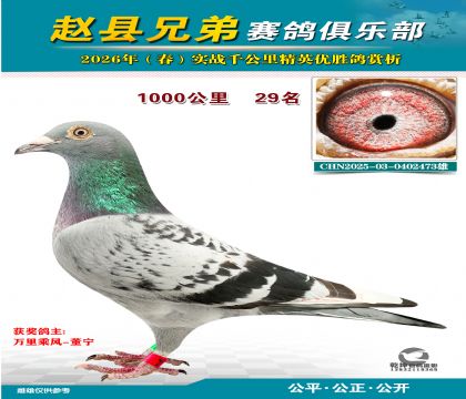 ǧ����29��