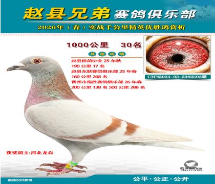 ǧ����30��