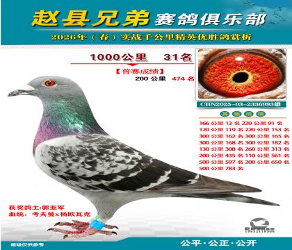 ǧ����31��