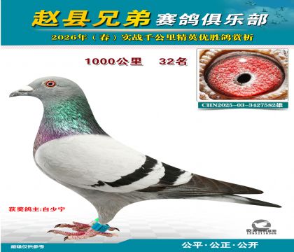 ǧ����32��