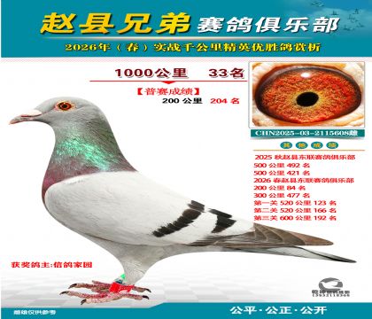 ǧ����33��