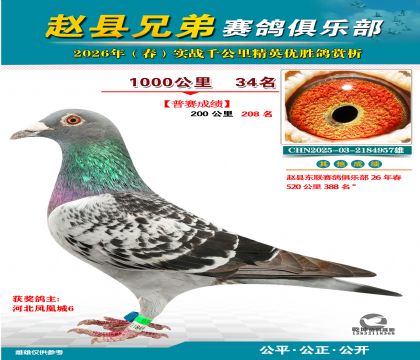 ǧ����34��