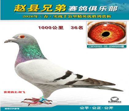 ǧ����36��