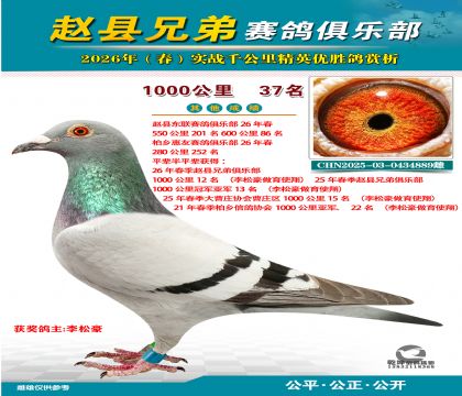 ǧ����37��